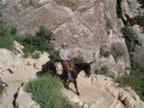 B- Mule Ride, riding down in to Grand Canyon (6).jpg (105kb)